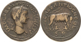 Kaiserzeit
Gordianus III. 238-244 Bronze, Antiochia/Pisidia Kopf mit Lorbeerkranz nach rechts, IMP CAES M ANT GORDIANVS AVG / Lupa mit Zwillingen, CA...