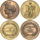 Frankreich-Medaillen und Marken
 Bronzemedaillen 1879 (E.A. Oudiné) Zwei Medaillen Assemblée Nationale in einem Originaletui - Auf die Wahl Jules Gré...