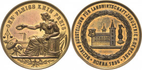 Borna
 Vergoldete Silbermedaille 1894. Preismedaille der Bezirksausstellung für Landwirtschaft und Industrie. Industria sitzt neben den Attributen de...