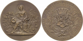 Sachsen-Coburg-Gotha
Medaillen Bronzemedaille o.J. (Lauer) Prämie der Stadt Neustadt für hervorragende Leistungen. Sitzende Frauengestalt, umher land...
