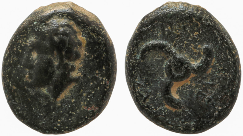 Dynasts of Lycia, Perikles. Circa 380-360 BC. Chalkous.

Obv: Horned head of P...