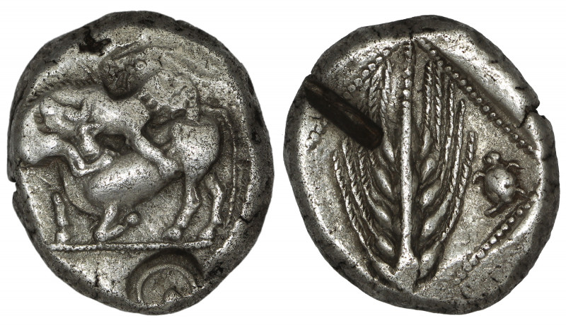 Cilicia, Stater, Tarsos. Circa 420 BC.

Obv: Lion attacking bull.
Rev: Corn-e...