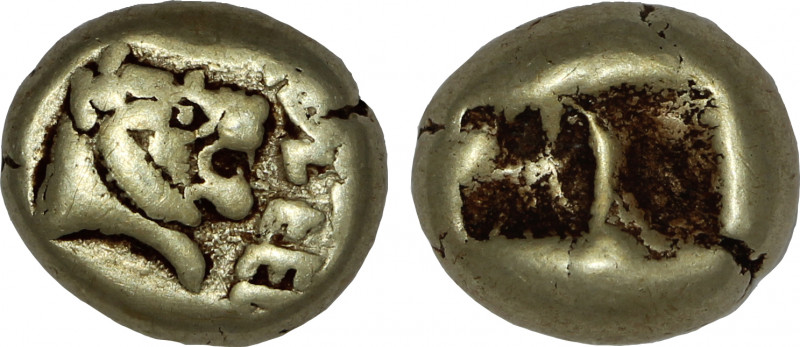 Kings of Lydia, Alyattes II, EL Hekte, Branch mint. Circa 610-560 BC.

Obv: Va...