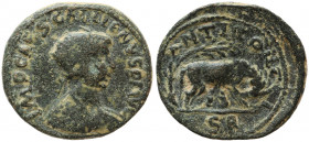 Gallienus. AE Antioch, Pisidia. AD 253-268.