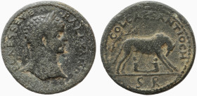 PISIDIA. Antioch. AE Severus Alexander (222-235).