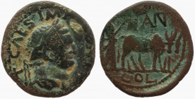 PISIDIA. Antiochia. AE.Titus, as Caesar, 69-79.