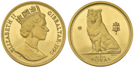 Gibilterra. Elisabetta II (1952-). Royal 1995 AV gr. 31,23. Friedberg B20. Proof