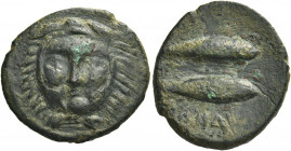 Greek Coins. Gadir. 
Half unit or semis circa 235-200, Æ 3.68 g. Head of Melqart facing, wearing lion's skin headdress. Rev. Two tunnies right. CNH 2...
