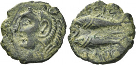Greek Coins. Gadir. 
Half unit or semis circa 235-200, Æ 4.34 g. Head of Melqart l., wearing lion's skin headdress; below chin, club. Rev. mp’l – ‘gd...