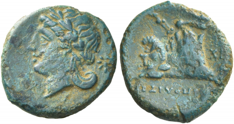 Greek Coins. Neapolis. 
Half litra circa 300-275, Æ 1.79 g. Laureate head of Ap...