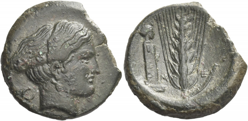 Greek Coins. Metapontum. 
Bronze circa 425-350, Æ 6.42 g. Head of Nike r.; in l...