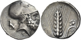 Greek Coins. Metapontum. 
Nomos circa 340-330, AR 7.25 g. Head of Leucippus r., wearing Corinthian helmet; behind, dog seated l. with r. paw raised. ...