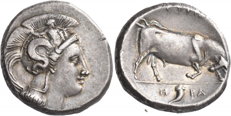 Greek Coins. Sybaris as Thurium. 
Dinomos circa 350-300, AR 15.85 g. Head of At...