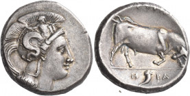 Greek Coins. Sybaris as Thurium. 
Dinomos circa 350-300, AR 15.85 g. Head of Athena r., wearing crested Attic helmet decorated with Scylla hurling st...