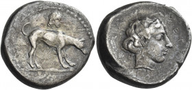 Greek Coins. Segesta. 
Didrachm circa 410-400, AR 8.29g. Hound standing r., lowering head to ground. Above, small female head facing r. Rev. [ΣEΓEΣTA...