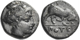 Greek Coins. Potidea. 
Bronze circa 400-350, Æ 1.31 g. Female head r., wearing earring and necklace. Rev. ΠΟTEI Bull butting r. Alexander p. 216. Tra...