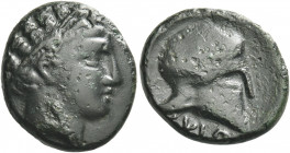 Greek Coins. Scione. 
Bronze circa 400-350, Æ 5.25 g. Diademed male head r. Rev. [ΣKION] Corinthian helmet. SNG Copenhagen 321. SNG ANS 716 var. (arr...