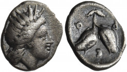 Greek Coins. Rhodes. 
Diobol circa 333-304, AR 1.08 g. Head of Helios r. Rev. P – O Two rose-buds with stalk. SNG Keckman 430. Ashton, RN 1988, p. 90...