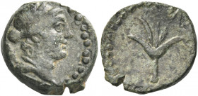 Greek Coins. Seleucia ad Calycadnum. 
Bronze II-I century BC, Ć 1.54 g. Laureate head of Apollo or Aphrodite (?) r. Rev. Flower. Cox, ANSMNM 92, p. 2...