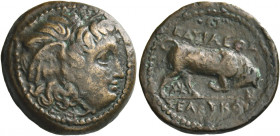 Greek Coins. Seleucid Kings of Syria. Seleucus I Nicator, 312 – 294. 
Denomination B late 280s, Æ 5.52 g. Winged head of Medusa r. Rev. BAΣIΛEΩΣ – ΣE...