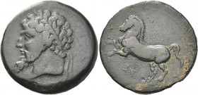 Greek Coins. Kings of Numidia, Massinissa, 203 – 148 or Micipsa, 148 – 118. 
Bronze circa 208-148, Æ 13.86 g. Laureate and bearded male head l. Rev. ...