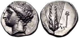 LUCANIA. Metapontum. Circa 340-330 BC. Nomos (Silver, 21 mm, 7.79 g, 2 h), struck under the magistrate, Ly... Head of Demeter to left, wearing a barle...