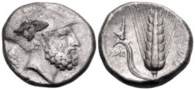 LUCANIA. Metapontum. Circa 340-330 BC. Nomos (Silver, 20 mm, 7.79 g, 10 h), struck under the magistrate Ami... Bearded head of Leukippos to right, wea...