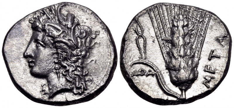 LUCANIA. Metapontum. Circa 330-290 BC. Didrachm or nomos (Silver, 21 mm, 7.22 g,...