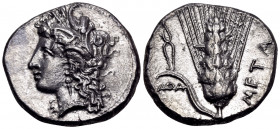 LUCANIA. Metapontum. Circa 330-290 BC. Didrachm or nomos (Silver, 21 mm, 7.22 g, 12 h), struck under the magistrate Atha.... Head of Demeter to left, ...