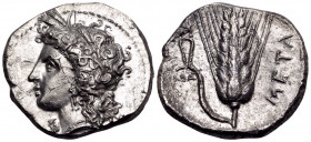 LUCANIA. Metapontum. Circa 330-290 BC. Didrachm or nomos (Silver, 21 mm, 7.76 g, 6 h), struck under the magistrate Atha.... Head of Demeter to left, w...