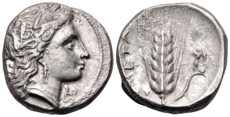 LUCANIA. Metapontum. Circa 330-290 BC. Nomos (Silver, 19 mm, 7.91 g, 12 h). Head...