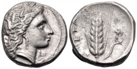 LUCANIA. Metapontum. Circa 330-290 BC. Nomos (Silver, 19 mm, 7.91 g, 12 h). Head of Demeter to right, wearing triple pendant earring and a grain wreat...