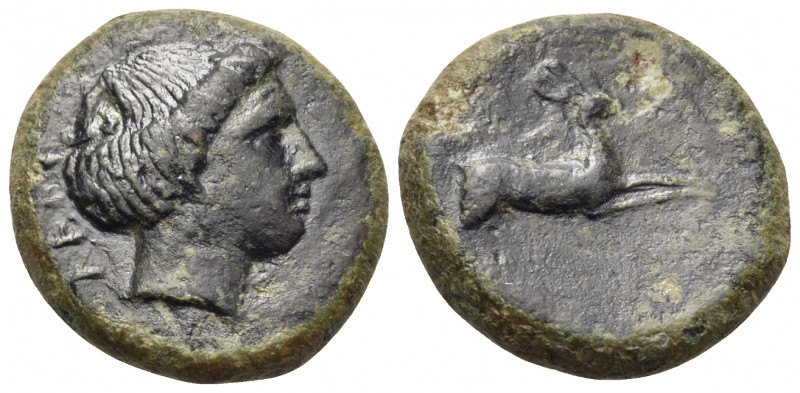 BRUTTIUM. Terina. Circa 350-300 BC. (Bronze, 18 mm, 5.58 g, 3 h). TEPI Head of n...