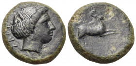 BRUTTIUM. Terina. Circa 350-300 BC. (Bronze, 18 mm, 5.58 g, 3 h). TEPI Head of nymph to right, wearing single pendant earring. Rev. Hare springing to ...