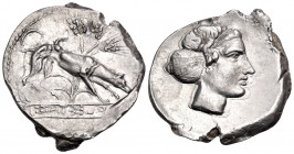 SICILY. Segesta. Circa 412/0-400 BC. Didrachm (Silver, 25 mm, 7.71 g, 5 h). Hound standing to right, with three grain ears in the background. Rev. ΣEΓ...