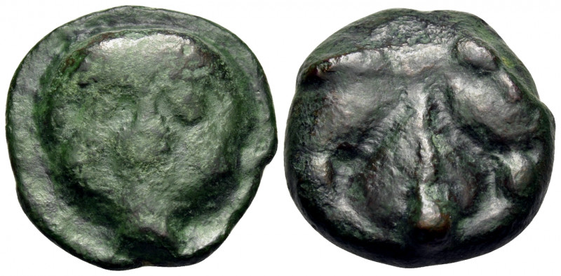 SICILY. Selinos. Circa 450-440 BC. Tetras or Trionkion (Bronze, 22 mm, 12.14 g, ...