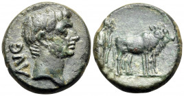 MACEDON. Philippi. Augustus, 27 BC -14 AD. (Bronze, 18 mm, 5.35 g, 5 h). AVG Bare head of Augustus to right. Rev. Two founders driving yoke of oxen ri...