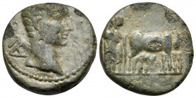 MACEDON. Philippi. Augustus, 27 BC -14 AD. Hemiassarion (Bronze, 11 mm, 3.81 g, 5 h). AVG Bare head of Augustus to right. Rev. Two founders driving yo...