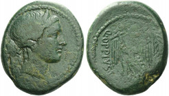Roman Republic. 
Q. Oppius. Bronze, Italy 46, Æ 16.68 g. Diademed head of Venus r.; behind, capricorn. Rev. Q·OPPIVS·P·R Victory advancing l., holdin...