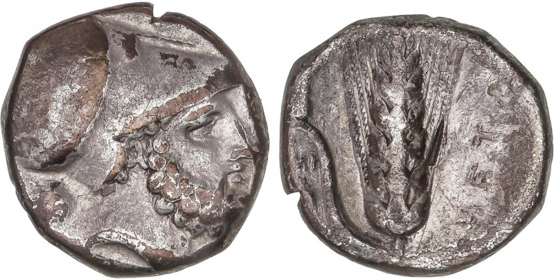 GREEK COINS
Estátera. 350-330 a.C. METAPONTO. LUCANIA. Anv.: Cabeza barbada de ...