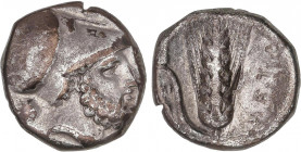 GREEK COINS
Estátera. 350-330 a.C. METAPONTO. LUCANIA. Anv.: Cabeza barbada de Leukippos a derecha, con casco corintio, detrás cabeza de león a derec...