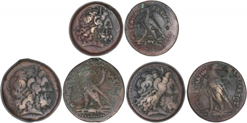 GREEK COINS
Lote 3 monedas AE 34, 37 y 39. PTOLOMEO II y IV. EGIPTO. Anv.: Cabe...