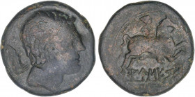CELTIBERIAN COINS
As. 120-20 a.C. AUSESCEN (VIC, Barcelona). Anv.: Cabeza masculina a derecha, detrás jabalí. Rev.: Jinete con palma a derecha, debaj...