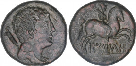CELTIBERIAN COINS
As. 50 a.C. BAITOLO (BADALONA). Anv.: Cabeza masculina a derecha, detrás timón. Rev.: Jinete con palma a derecha, debajo leyenda ib...