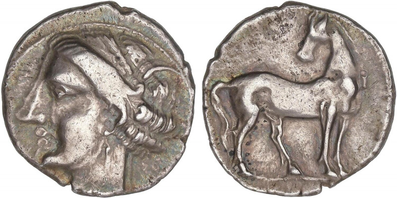 CELTIBERIAN COINS
1/2 Shekel. 220-215 a.C. CARTAGONOVA (CARTAGENA, Murcia). Anv...