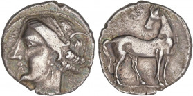 CELTIBERIAN COINS
1/2 Shekel. 220-215 a.C. CARTAGONOVA (CARTAGENA, Murcia). Anv.: Cabeza de Tanit a izquierda. Rev.: Caballo parado a derecha con la ...