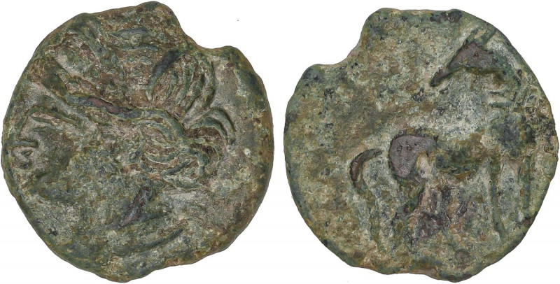 CELTIBERIAN COINS
Calco. 220-215 a.C. CARTAGONOVA (CARTAGENA, Murcia). Rev.: Ca...
