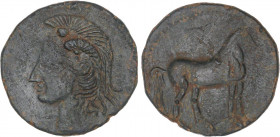 CELTIBERIAN COINS
Calco. 220-215 a.C. CARTAGONOVA (CARTAGENA, Murcia). Anv.: Cabeza de Atenea a izquierda. Rev.: Caballo parado a derecha. 9,07 grs. ...