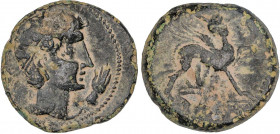 CELTIBERIAN COINS
As. 180 a.C. CASTULO (Cazlona, Jaén). Anv.: Cabeza masculina diademada a derecha, delante mano. Rev.: Esfinge a derecha, debajo de ...