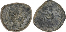 CELTIBERIAN COINS
As. 180 a.C. CASTULO (CAZLONA, Jaén). Anv.: Cabeza masculina diademada a derecha, delante mano. Rev.: Esfinge a derecha, delante es...